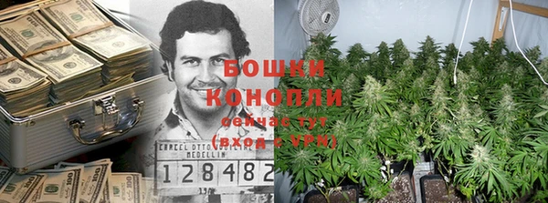 прущие крисы Михайловск