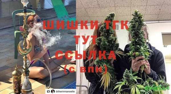 ГАЛЛЮЦИНОГЕННЫЕ ГРИБЫ Михайлов