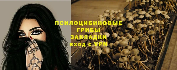 прущие крисы Михайловск