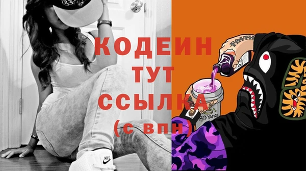 ГАЛЛЮЦИНОГЕННЫЕ ГРИБЫ Михайлов