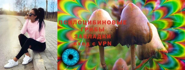 ГАЛЛЮЦИНОГЕННЫЕ ГРИБЫ Михайлов