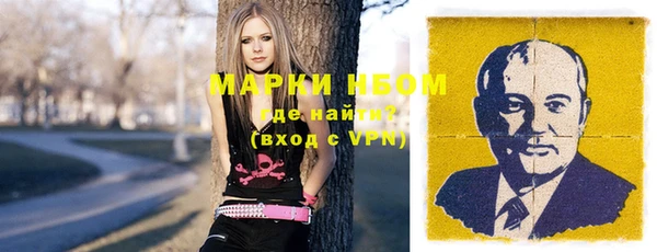 ГАЛЛЮЦИНОГЕННЫЕ ГРИБЫ Михайлов