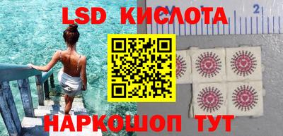 spice Кунгур