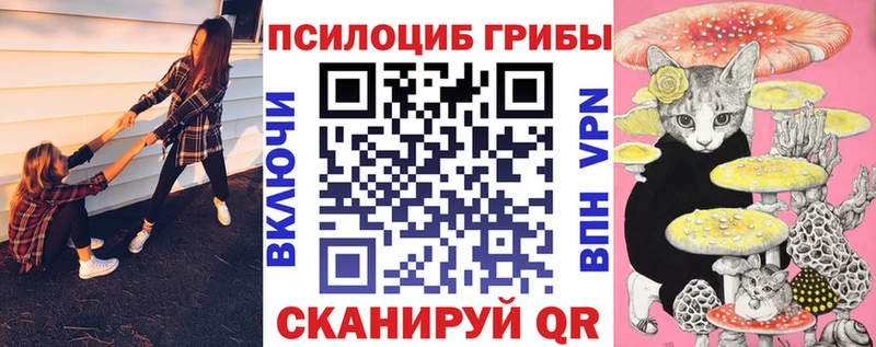 Псилоцибиновые грибы MAGIC MUSHROOMS  наркошоп  omg ссылки  Сосновоборск 