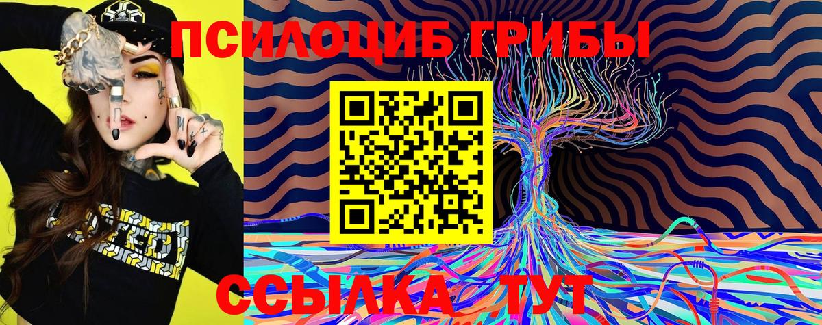 Галлюциногенные грибы Psilocybe  купить наркотик  Галлюциногенные грибы GOLDEN TEACHER  Сосновоборск 