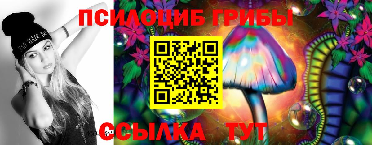 Псилоцибиновые грибы MAGIC MUSHROOMS  сколько стоит  Сосновоборск  Псилоцибиновые грибы прущие грибы  Вход с VPN 