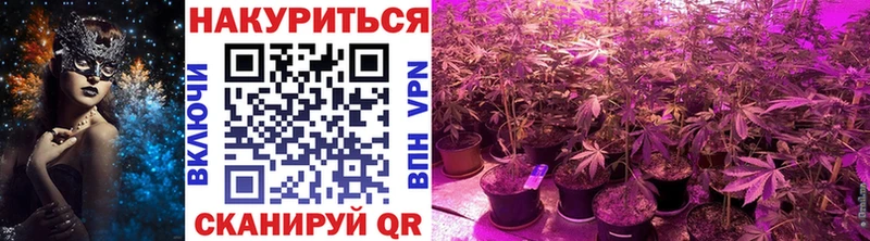 блэк спрут ссылки  Сосновоборск  Бошки марихуана SATIVA & INDICA 